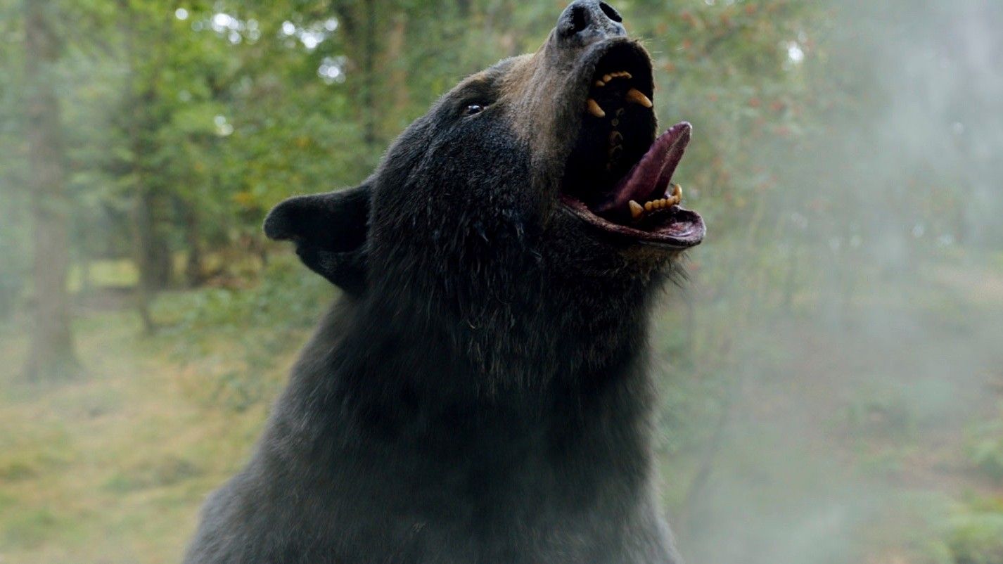 How the bear from 'Cocaine Bear' was created