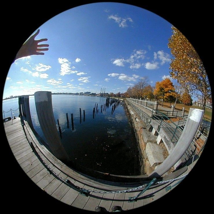 What is a Fisheye Lens? Definition and Examples for Filmmakers