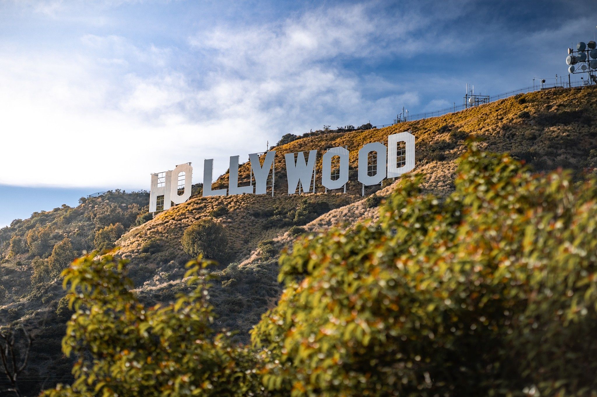 The 'Hollywood' sign 
