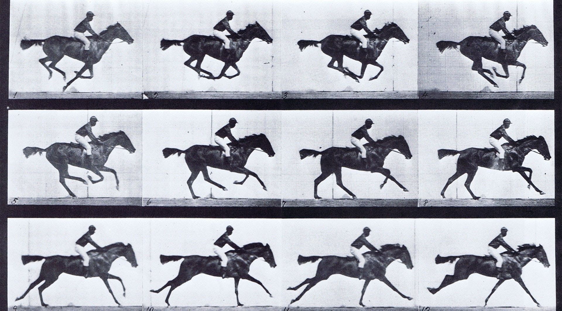 Horse In Motion, Muybridge Frame Rate 
