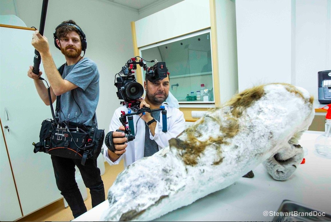 Jason Sussberg and David Alvarado filming an extinct species cadaver.