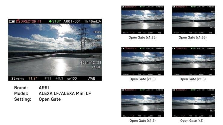 Sigma fp Director's Viewfinder Modes