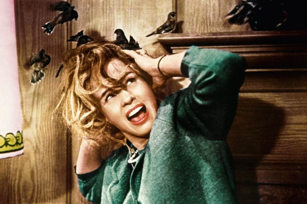Tippi Hedren as Melanie Daniels being attacked by birds in 'The Birds'