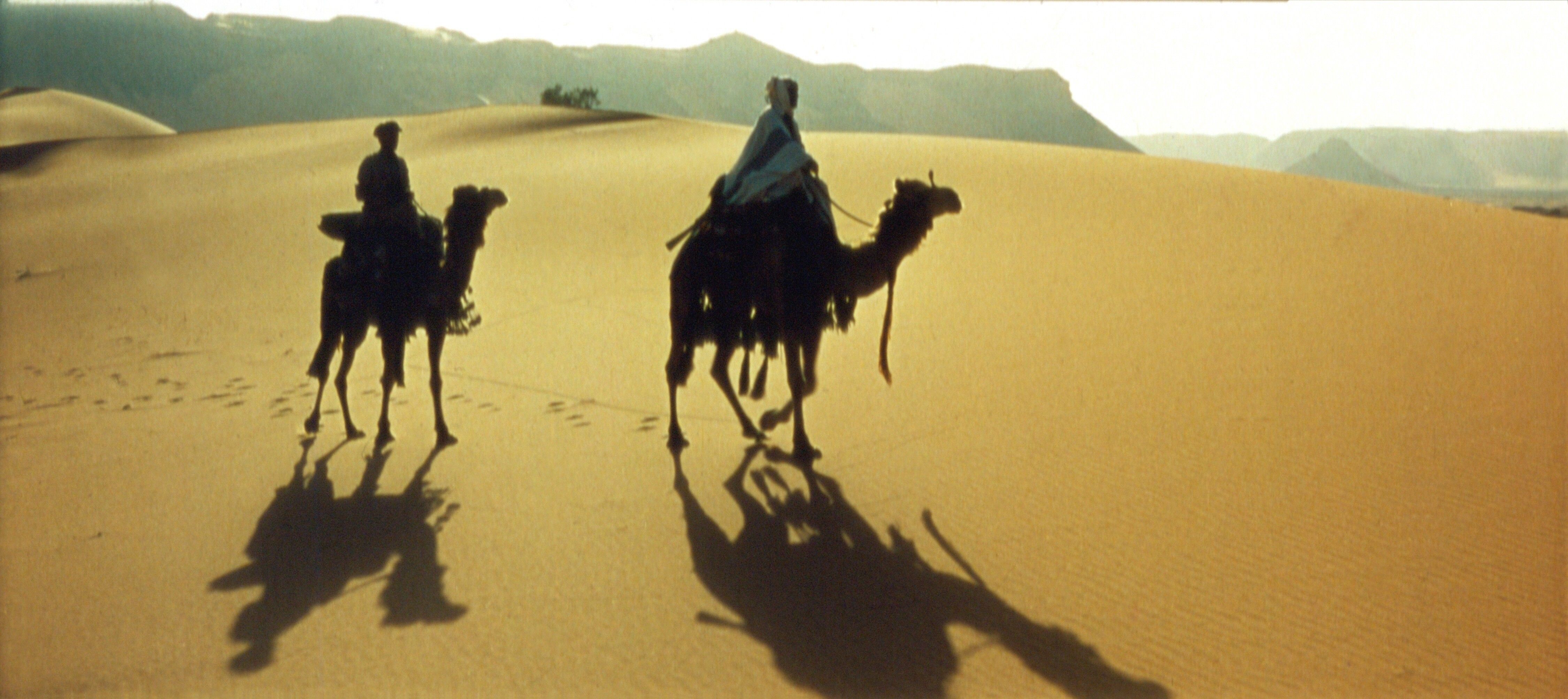 'Lawrence of Arabia'