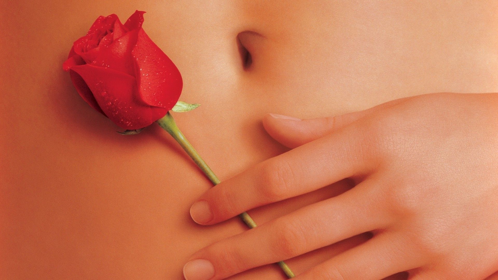 What Do Roses Represent in 'American Beauty'? (Hint: It Ain't Beauty)