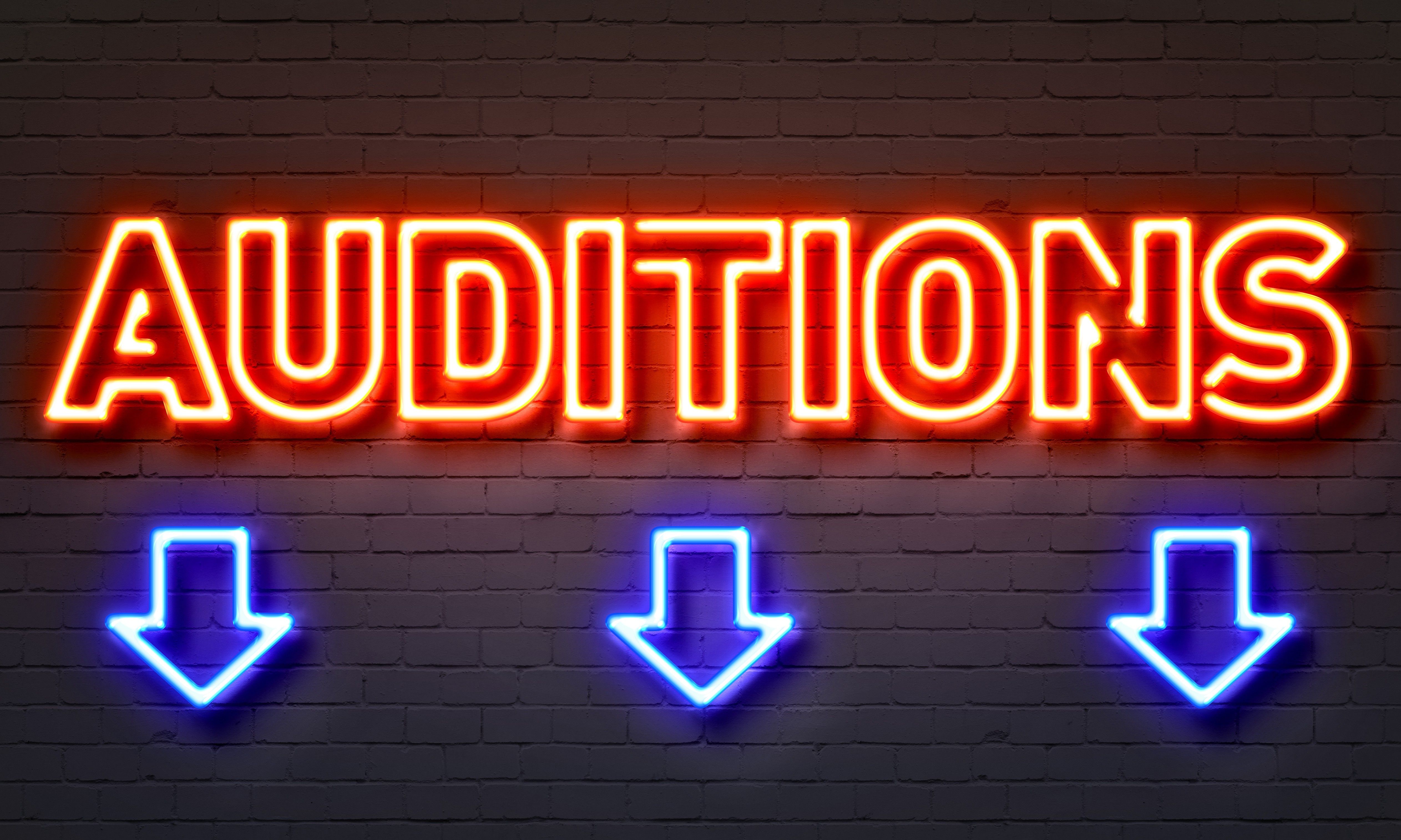 Image result for auditions image