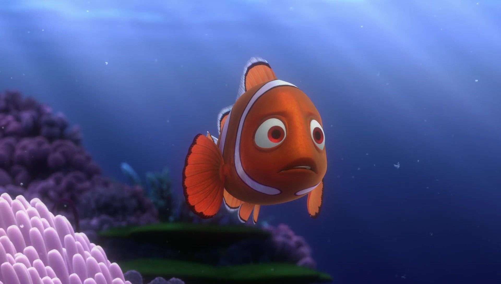 Why Nemo s Mom is the Most Important Character in the Movie