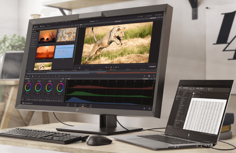 These Are the Best HP Z Monitors for 