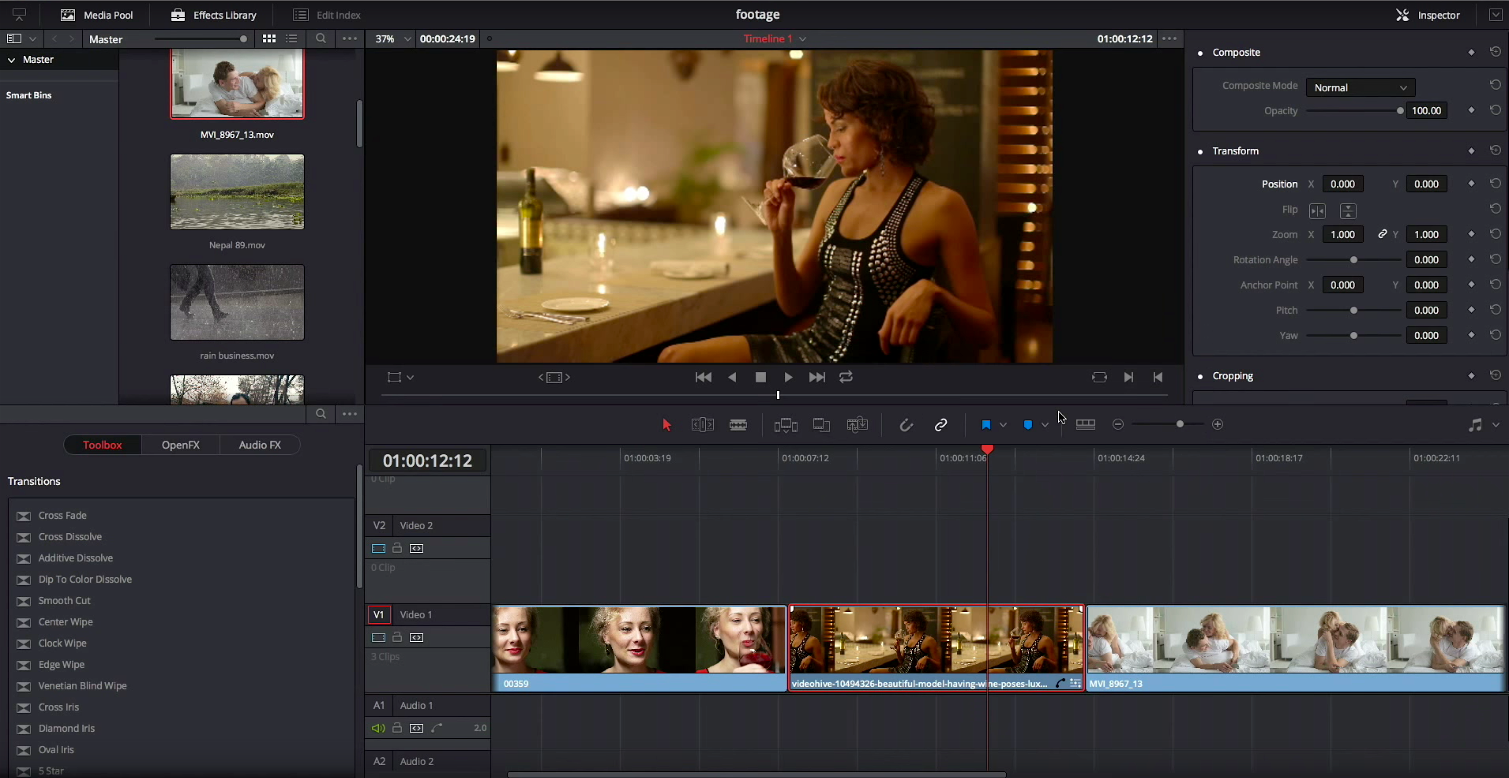 what is missing from the davinci resolve free download