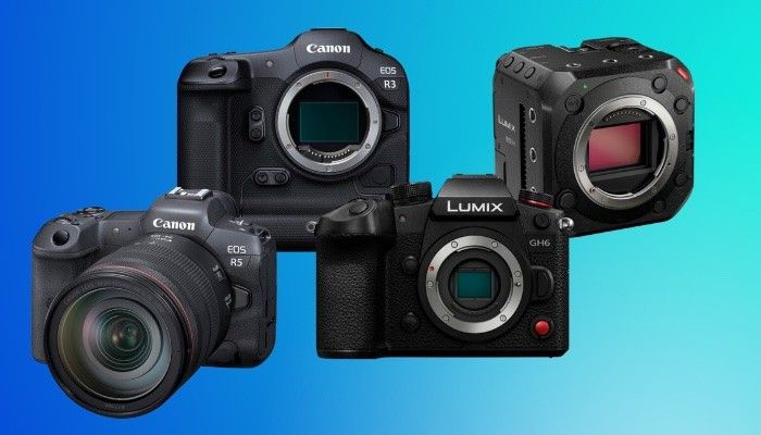 Pardon Verdorren Kansen Panasonic and Canon Battle It Out — 4 Mirrorless Cameras You Can Afford