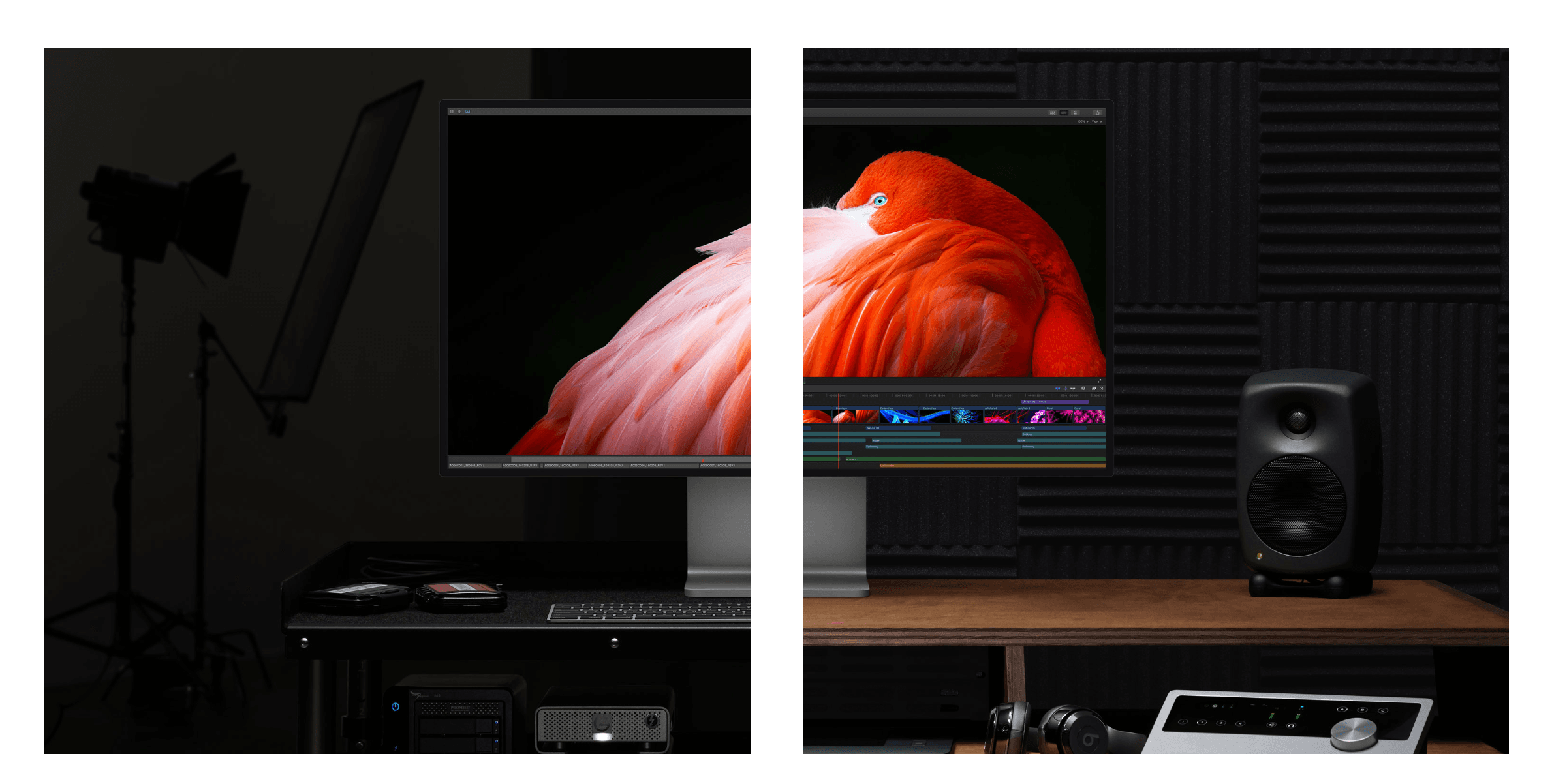 Who is the Apple XDR Monitor For?