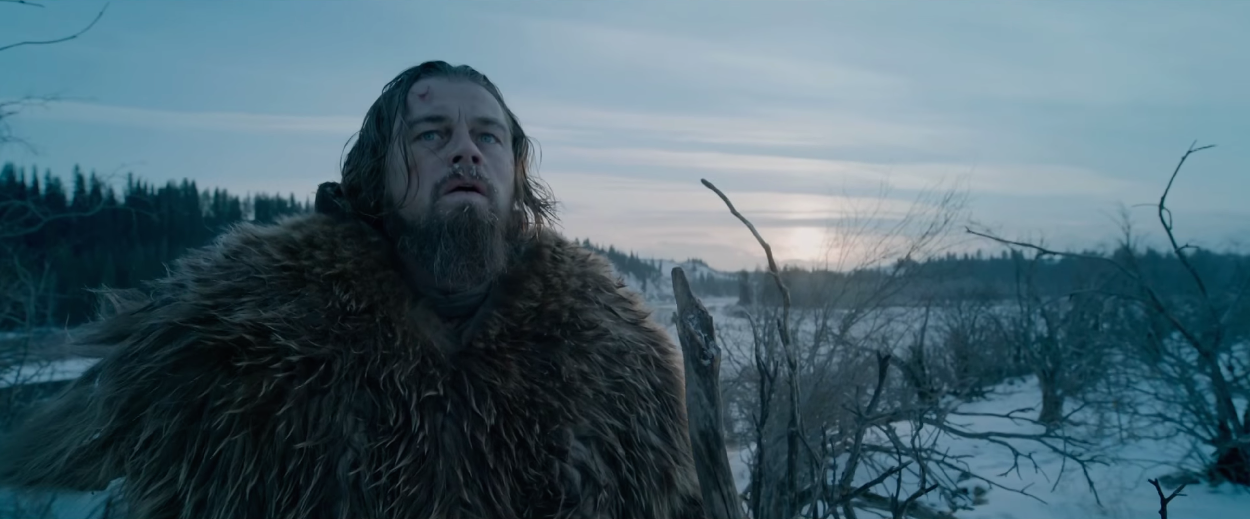 The Incredible Trailer for 'The Revenant' Gives Us Our First Taste of Alexa  65 Footage