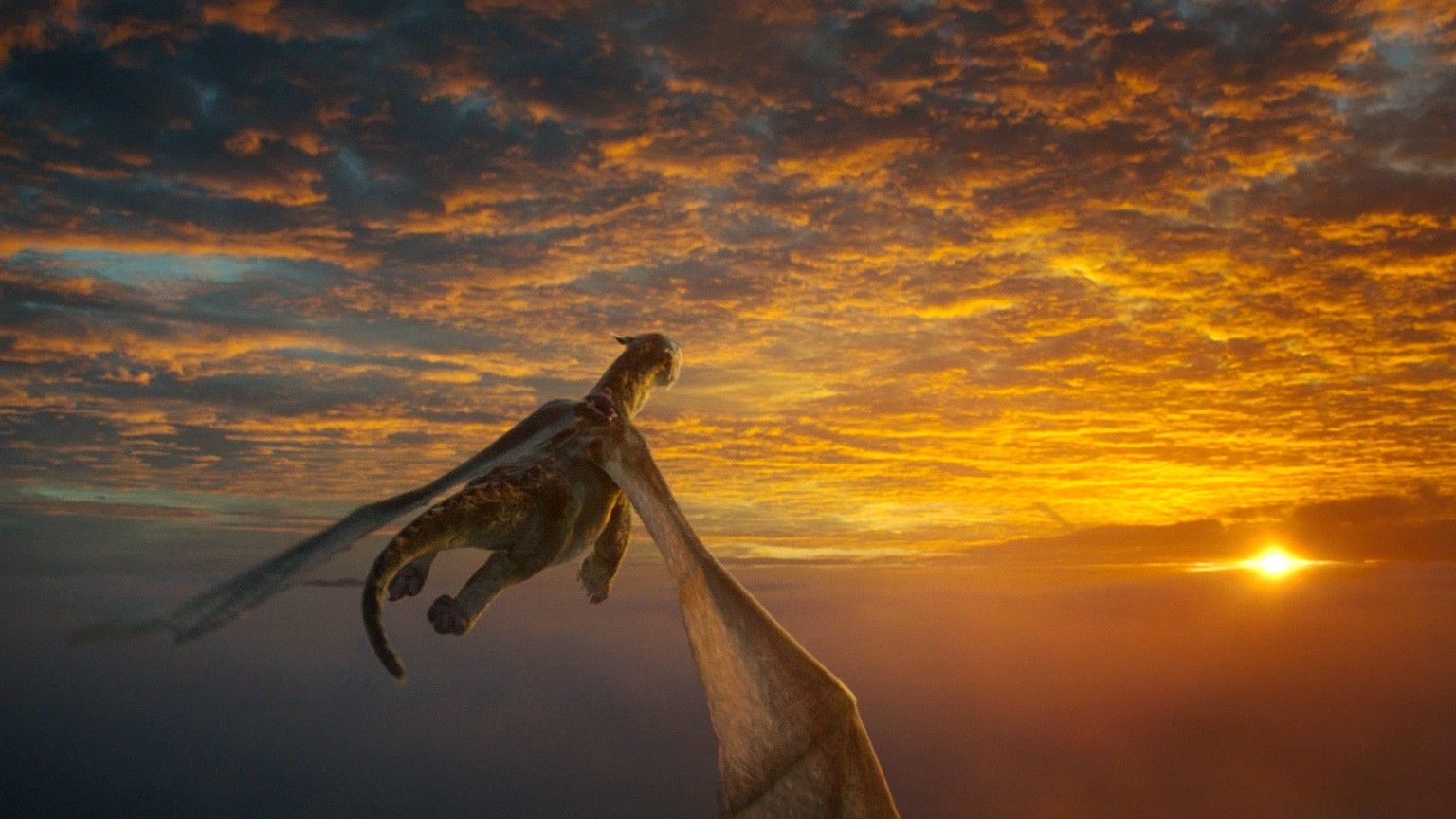 17 Invaluable Filmmaking Lessons From The Pete S Dragon Production Diary