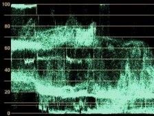 waveform monitor histogram after effects adobe