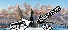 2013 Sundance Shorts Tour