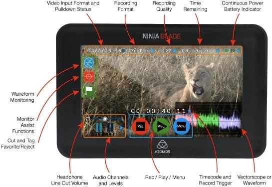 New Atomos Ninja Blade Gives You External HDMI Recording with a 5-Inch 1280  x 720 Monitor